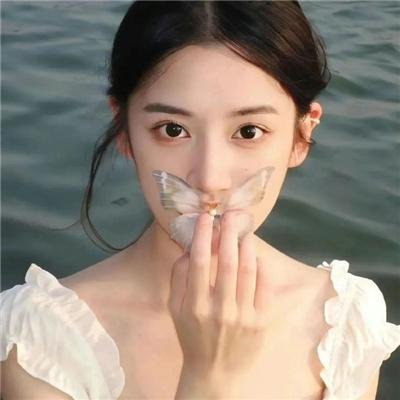 寻龙记