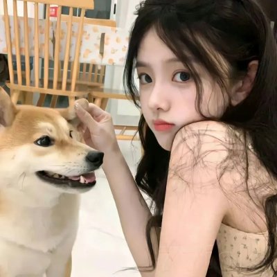 女婿难当