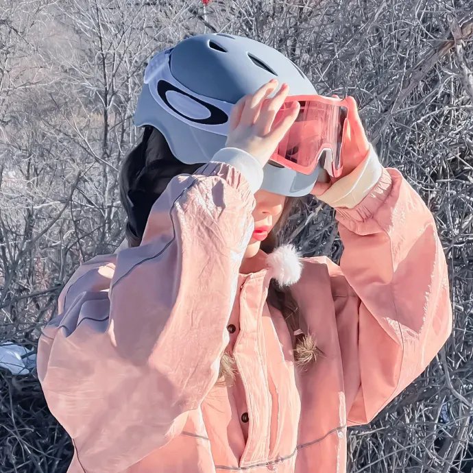 雪山飞狐